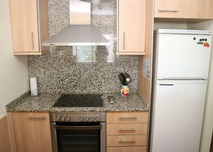 Mil.leni Iii 1 2 4 Apartament Roses